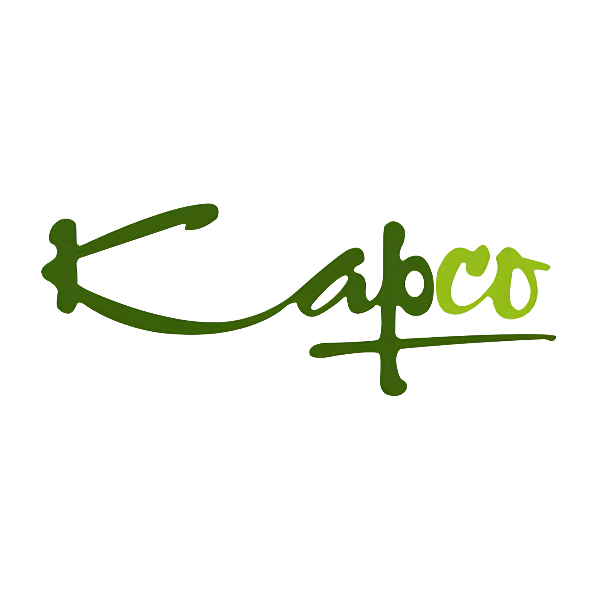 Kapco logo